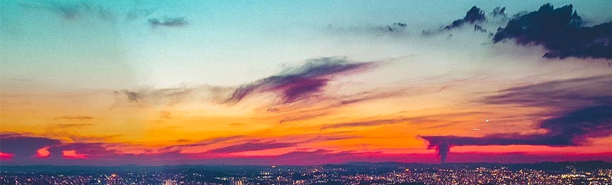 海南茶虫网_海南品茶